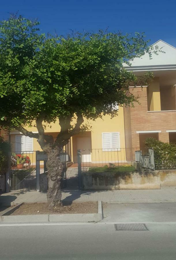 Appartamento Emilia Cupra Marittima Bagian luar foto
